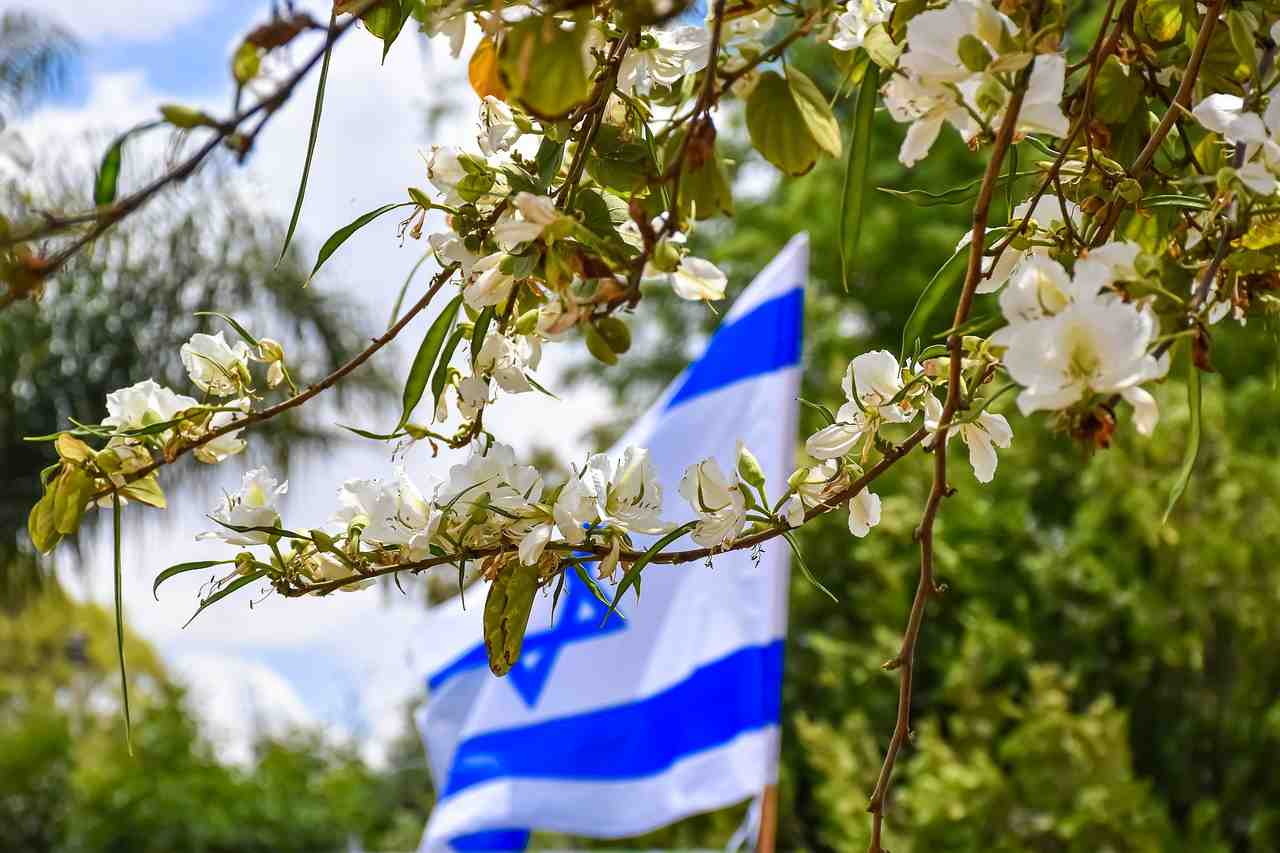 drapeau israélien, fleurs, printemps